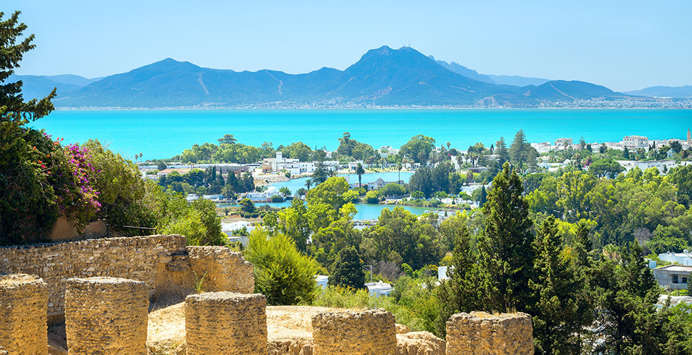 Tunis, Tunisia picture